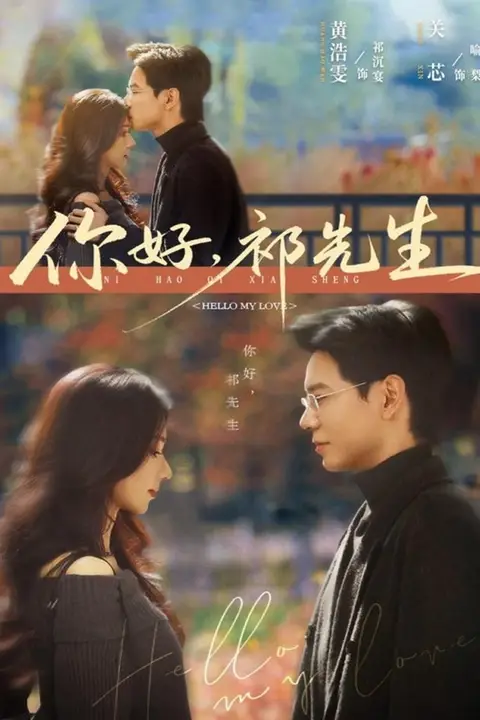 《你好,祁先生》封面