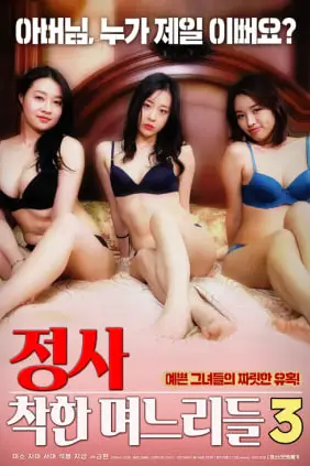 《外遇：善良的儿媳3》封面
