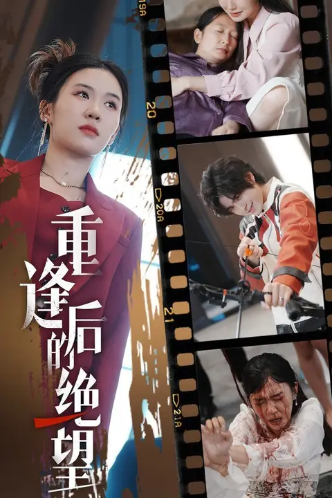 《重逢后的绝望》封面