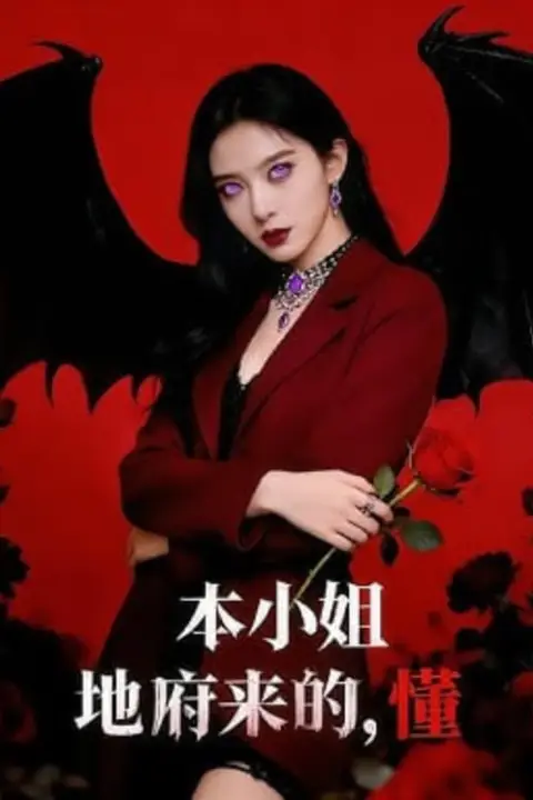 《本小姐地府来的,懂》封面
