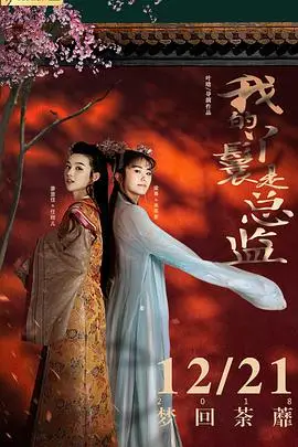 《我的丫鬟是总监》封面