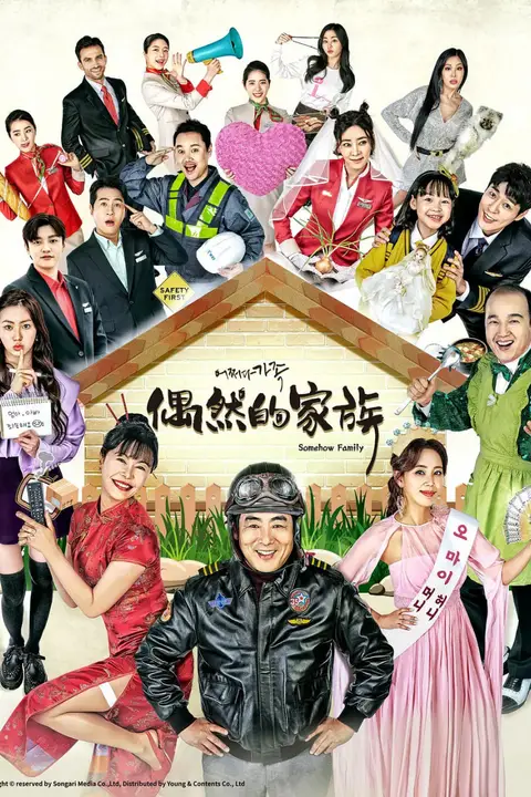 《偶然家族》封面