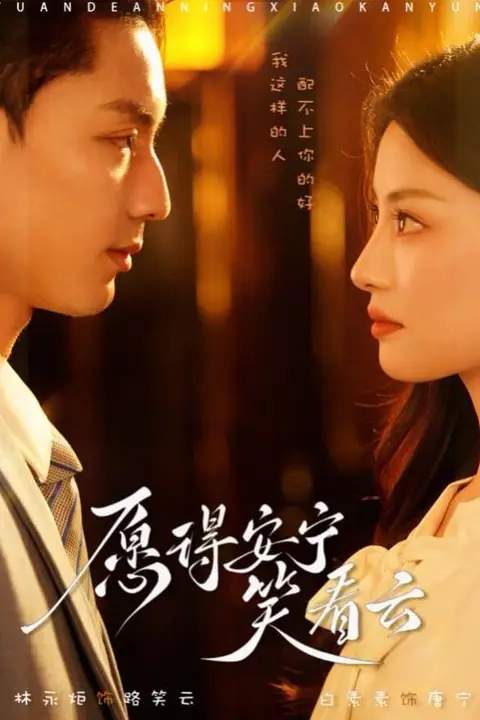 《愿得安宁笑看云》封面