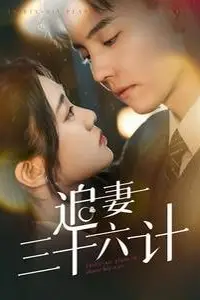 《追妻三十六计》封面
