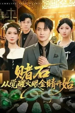 《赌石从觉醒火眼金睛开始》封面