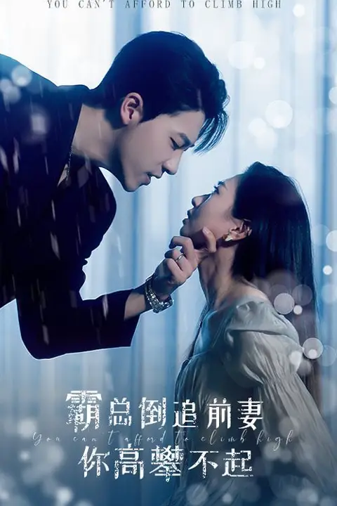 《霸总倒追前妻你高攀不起》封面
