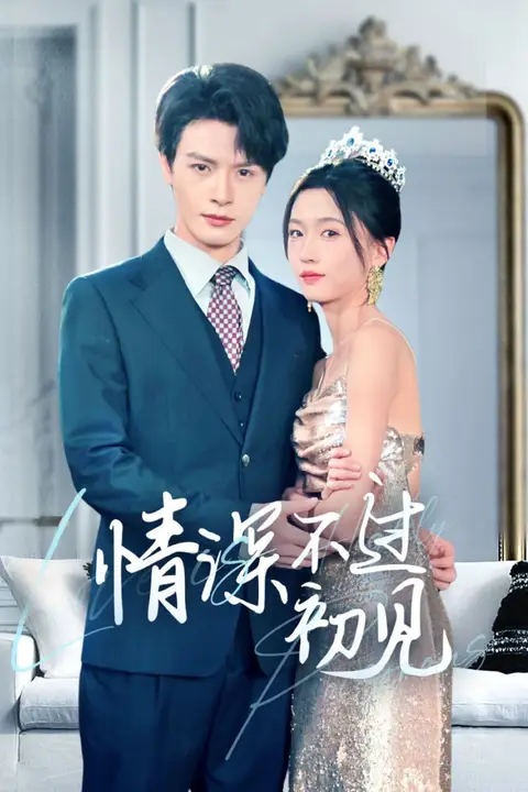《情深不过初见》封面