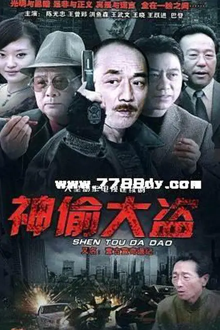 《神偷大盗》封面