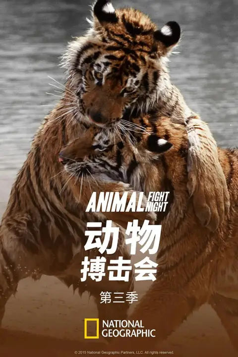 《动物搏击会 第三季》封面