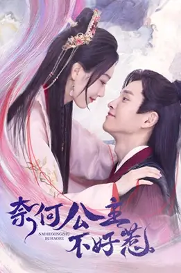 《奈何公主不好惹》封面