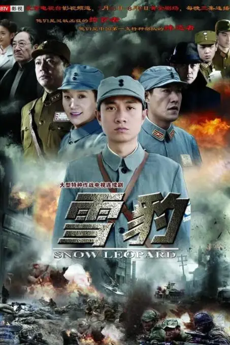 《雪豹》封面