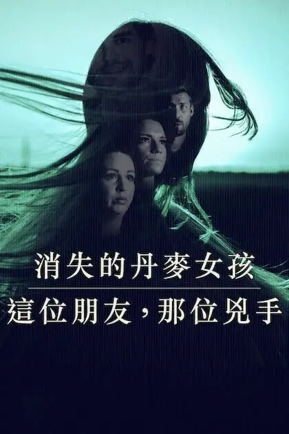 《消失的丹麦女孩：这位朋友》封面