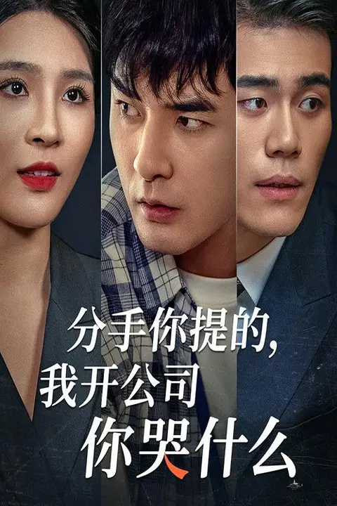 《分手你提的，我开公司你哭什么》封面