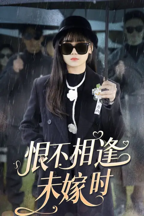《恨不相逢未嫁时》封面