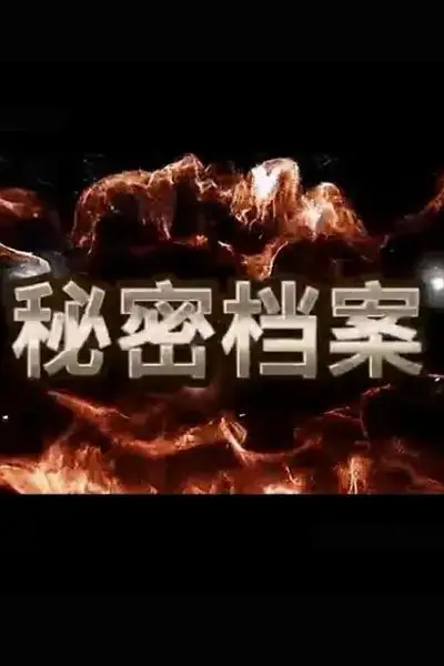 《秘密档案》封面