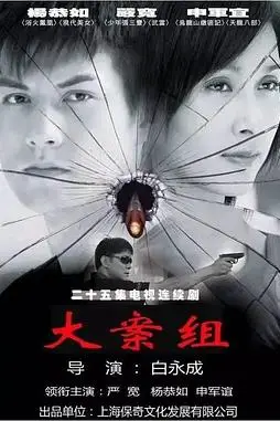 《大案组》封面
