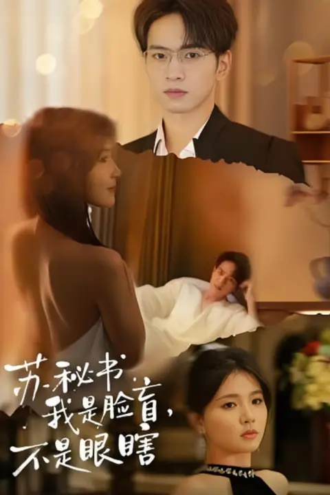 《苏秘书我是脸盲不是眼瞎》封面