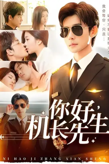 《你好机长先生》封面