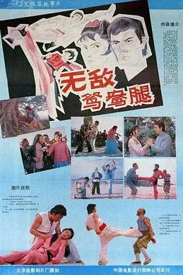 《无敌鸳鸯腿》封面