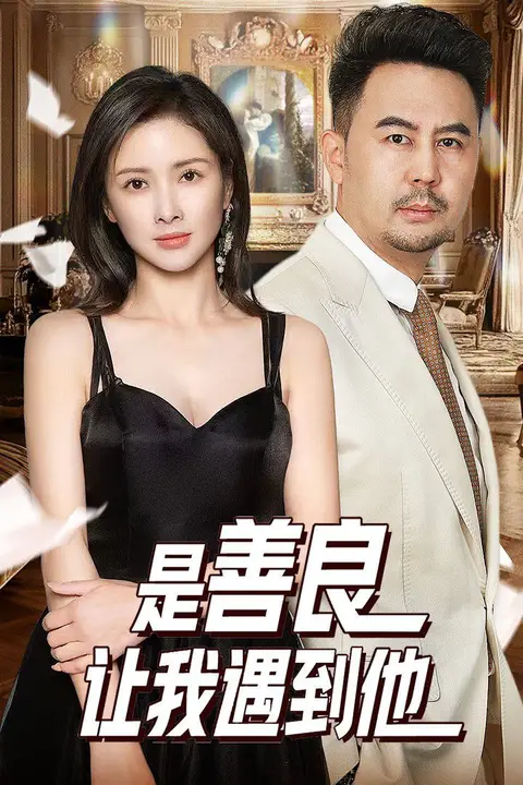《是善良让我遇到他》封面