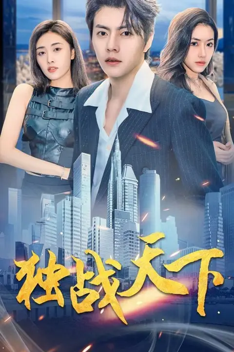 《独战天下》封面