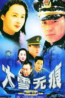 《大雪无痕》封面