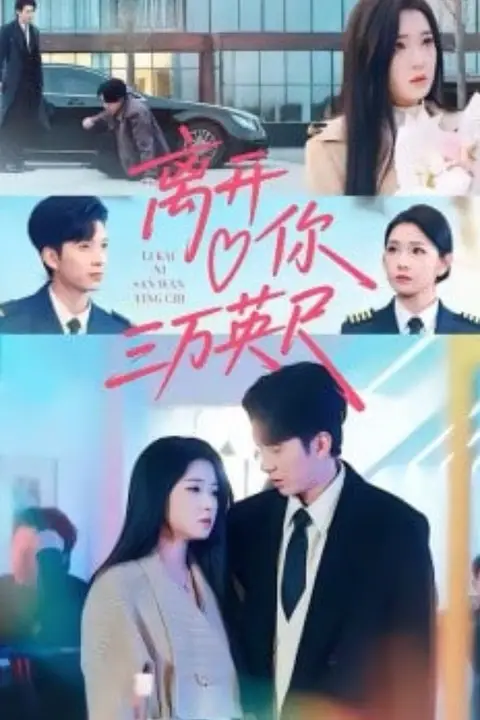《离开你三万英尺》封面