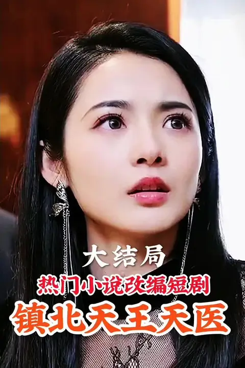 《镇北天王》封面