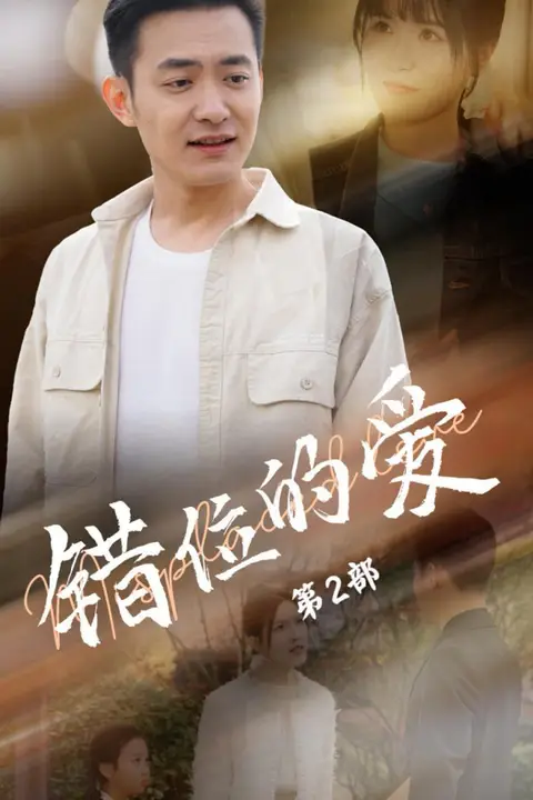 《错位的爱第2部》封面