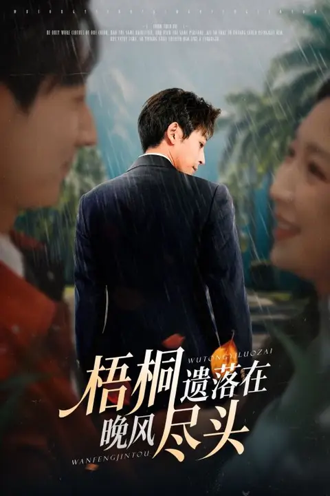 《梧桐遗落在晚风尽头(棠花不识旧时月)》封面