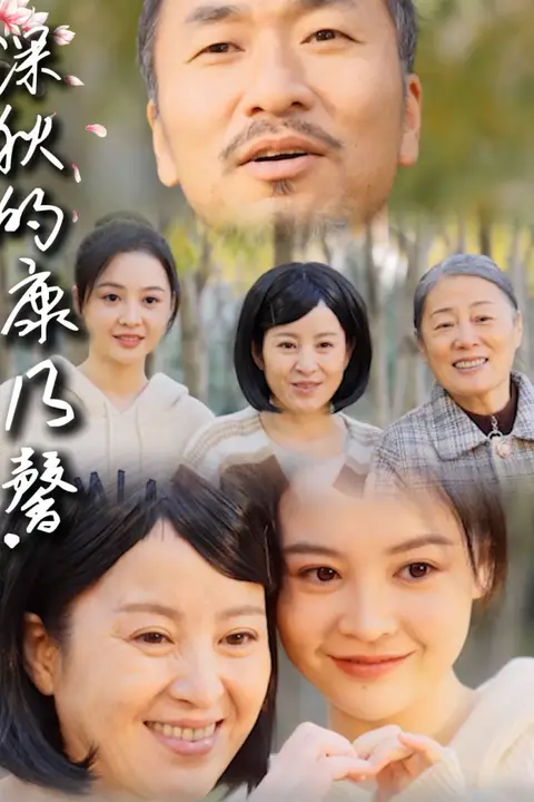 《深秋的康乃馨》封面