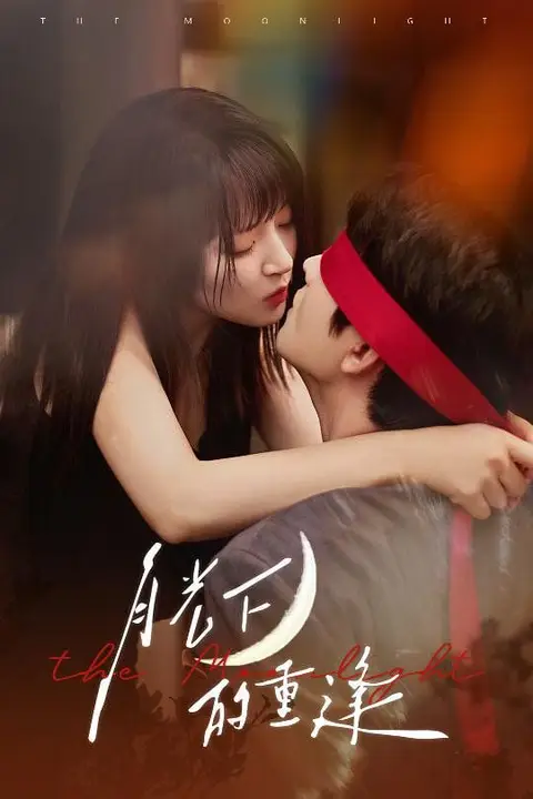 《月光下的重逢》封面