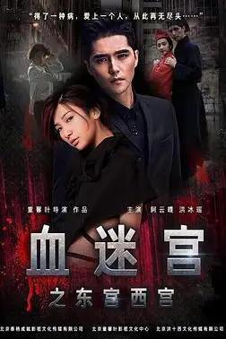 《血迷宫之东宫西宫》封面