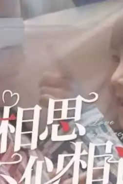 《相思不似相识》封面