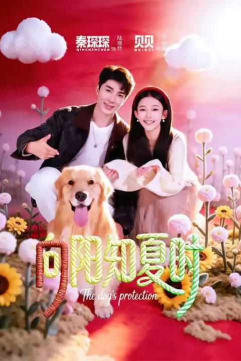 《向阳知夏时》封面