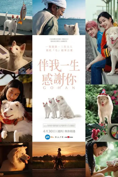 《心犬相随》封面