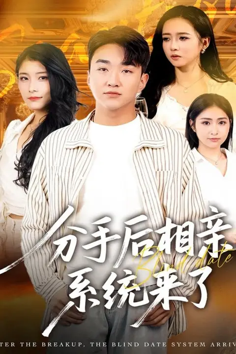 《分手后相亲系统来了》封面