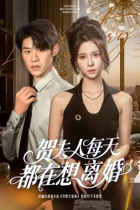 《贺夫人每天都在想离婚》封面