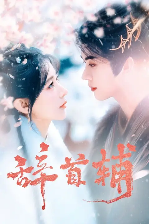 《辞首辅》封面