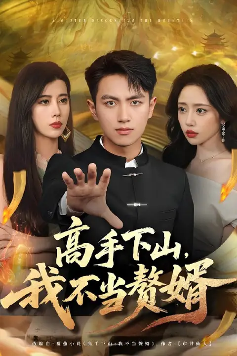 《高手下山我不当赘婿》封面