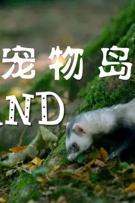 《宠物岛》封面