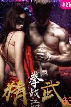 《精武之拳战江湖》封面
