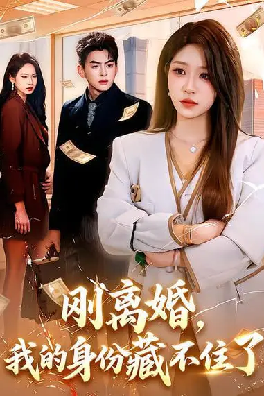 《刚离婚,我的身份藏不住了》封面