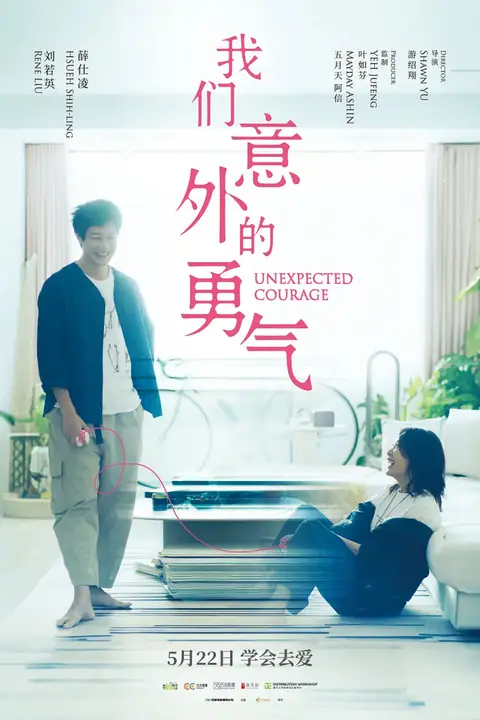 《我们意外的勇气》封面
