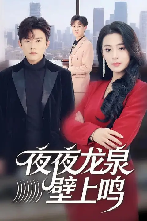 《夜夜龙泉壁上鸣》封面