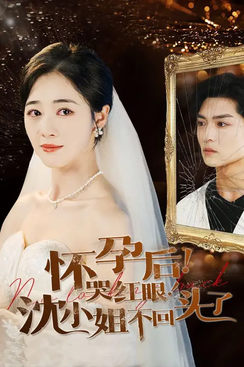 《怀孕后哭红眼沈小姐不回头了》封面