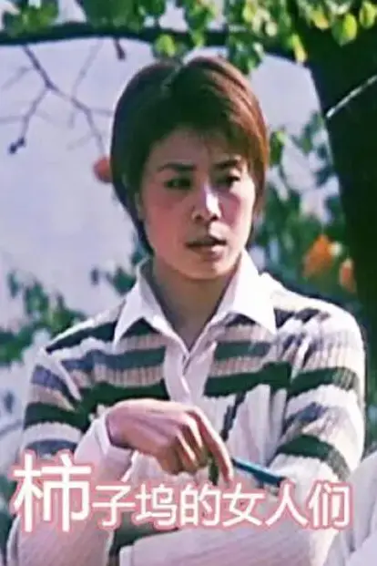 《柿子坞的女人们》封面