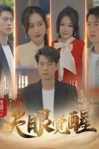 《赘婿之天眼觉醒》封面