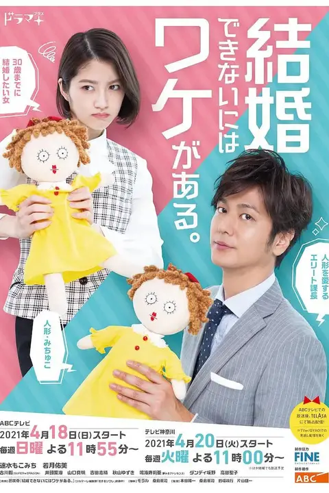 《不能结婚是有理由的》封面