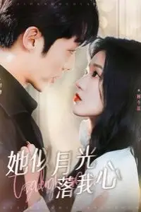 《她似月光落我心》封面